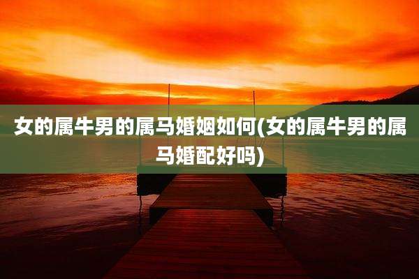 女的属牛男的属马婚姻如何(女的属牛男的属马婚配好吗)