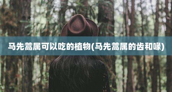 马先蒿属可以吃的植物(马先蒿属的齿和喙)