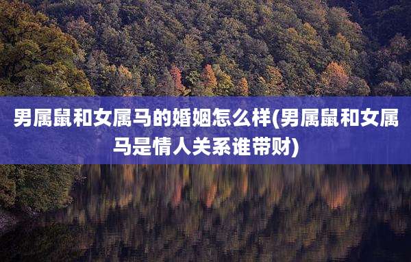 男属鼠和女属马的婚姻怎么样(男属鼠和女属马是情人关系谁带财)
