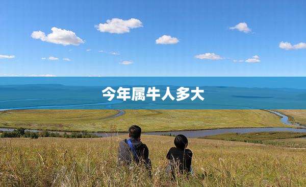 今年属牛人多大