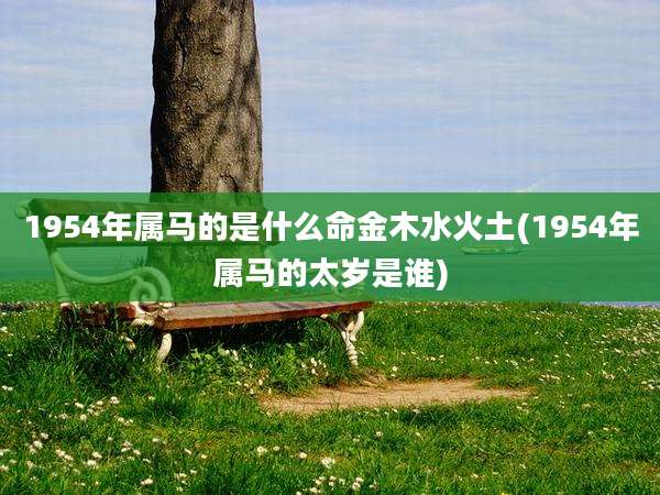 1954年属马的是什么命金木水火土(1954年属马的太岁是谁)