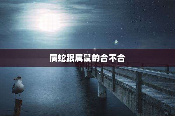 属蛇跟属鼠的合不合