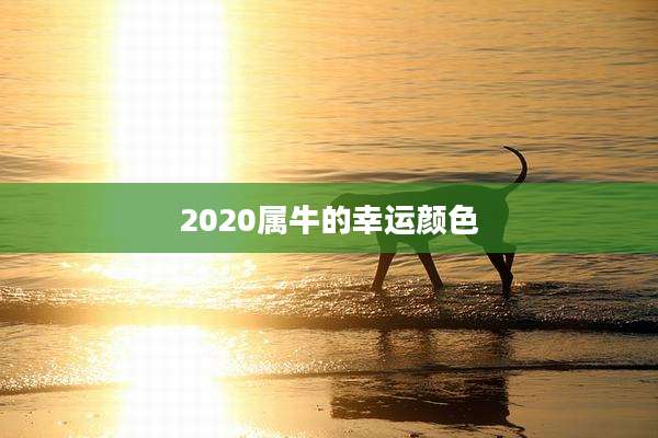 2020属牛的幸运颜色