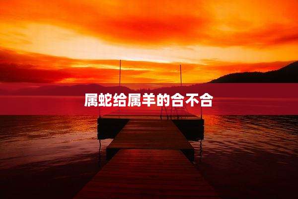 属蛇给属羊的合不合