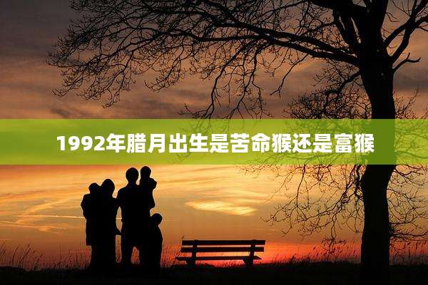 1992年腊月出生是苦命猴还是富猴