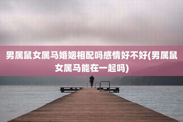 男属鼠女属马婚姻相配吗感情好不好(男属鼠女属马能在一起吗)
