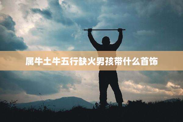 属牛土牛五行缺火男孩带什么首饰