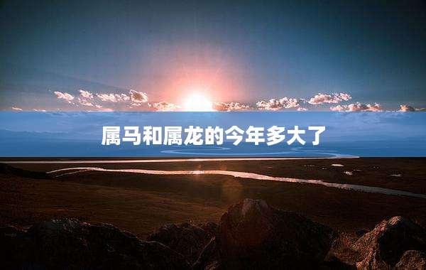 属马和属龙的今年多大了