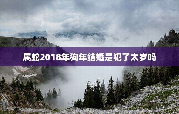 属蛇2018年狗年结婚是犯了太岁吗