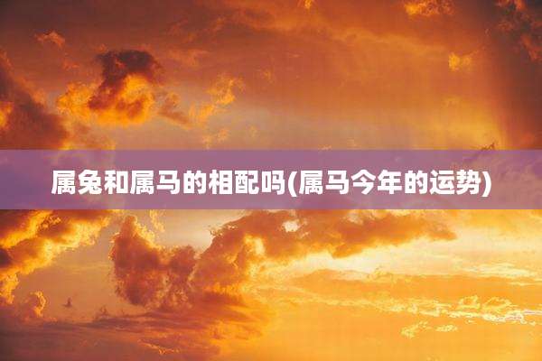 属兔和属马的相配吗(属马今年的运势)