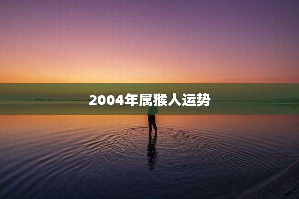 2004年属猴人运势