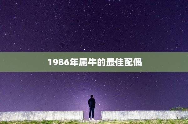 1986年属牛的最佳配偶