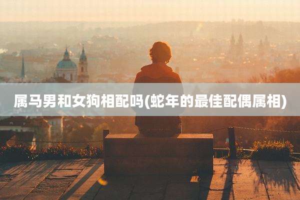 属马男和女狗相配吗(蛇年的最佳配偶属相)