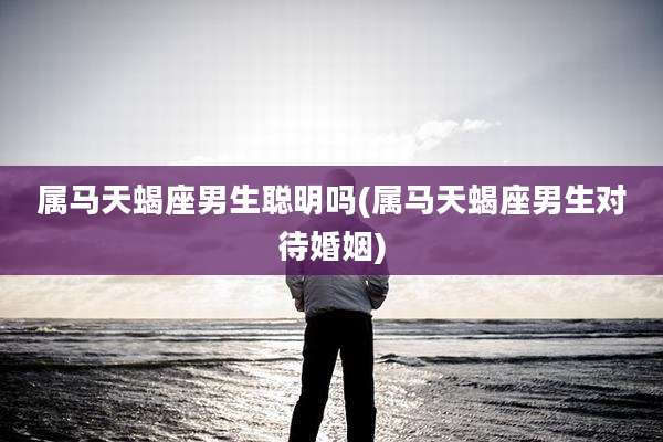 属马天蝎座男生聪明吗(属马天蝎座男生对待婚姻)