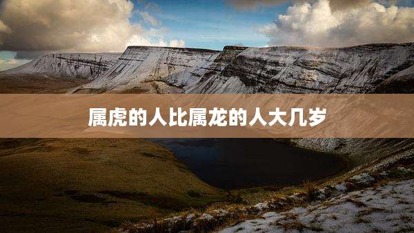 属虎的人比属龙的人大几岁