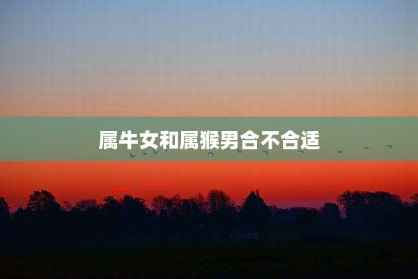 属牛女和属猴男合不合适