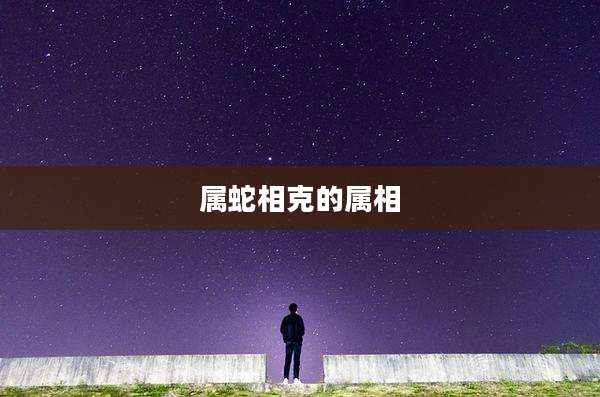 属蛇相克的属相