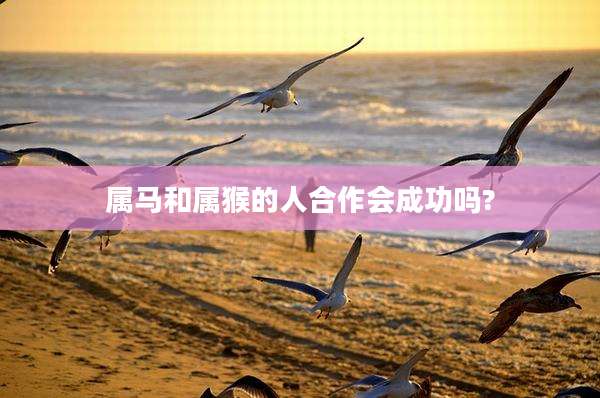 属马和属猴的人合作会成功吗?