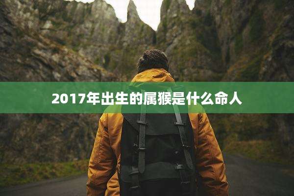 2017年出生的属猴是什么命人