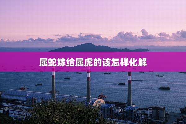 属蛇嫁给属虎的该怎样化解