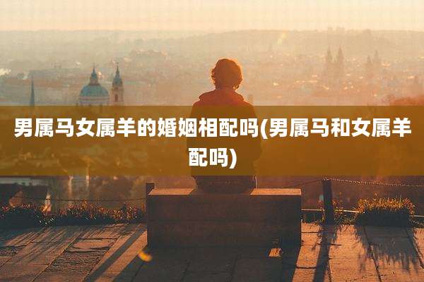 男属马女属羊的婚姻相配吗(男属马和女属羊配吗)