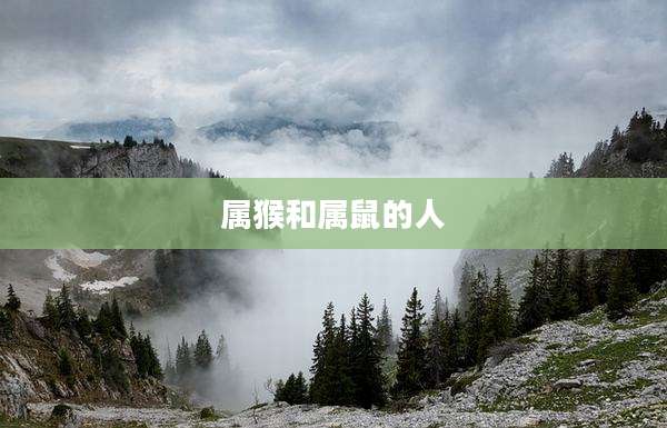 属猴和属鼠的人