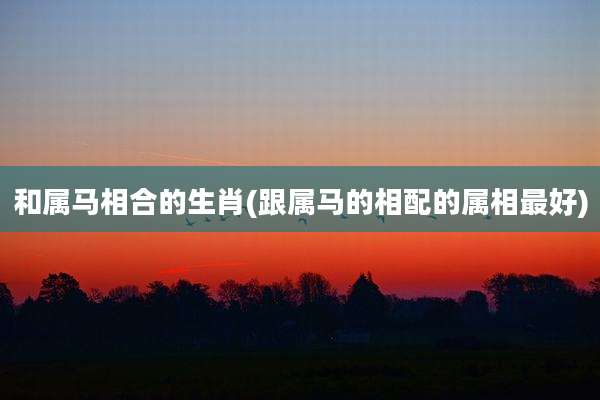 和属马相合的生肖(跟属马的相配的属相最好)