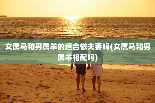 女属马和男属羊的适合做夫妻吗(女属马和男属羊相配吗)