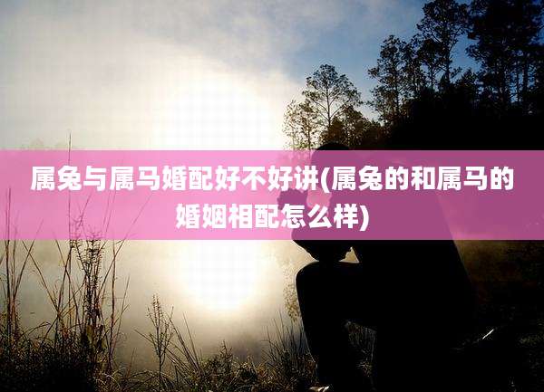 属兔与属马婚配好不好讲(属兔的和属马的婚姻相配怎么样)