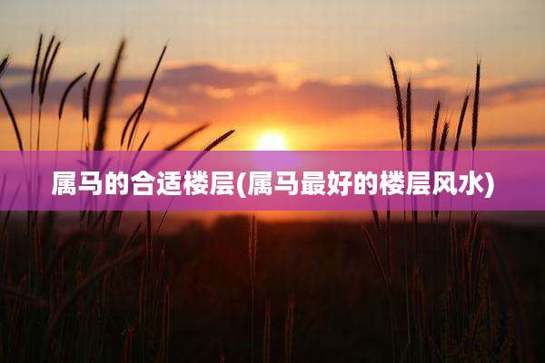 属马的合适楼层(属马最好的楼层风水)