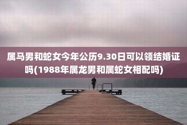 属马男和蛇女今年公历9.30日可以领结婚证吗(1988年属龙男和属蛇女相配吗)