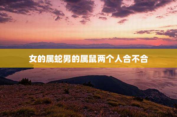 女的属蛇男的属鼠两个人合不合