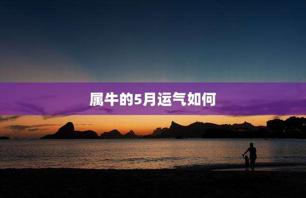 属牛的5月运气如何