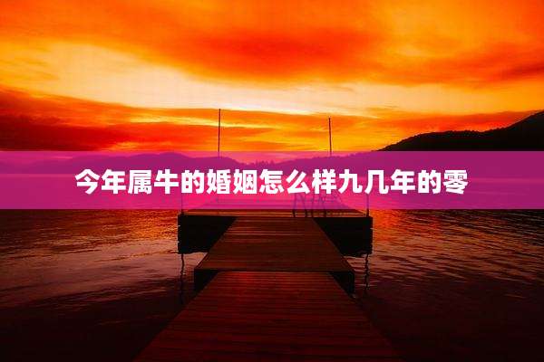 今年属牛的婚姻怎么样九几年的零