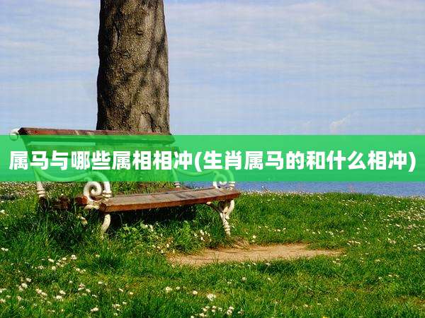 属马与哪些属相相冲(生肖属马的和什么相冲)