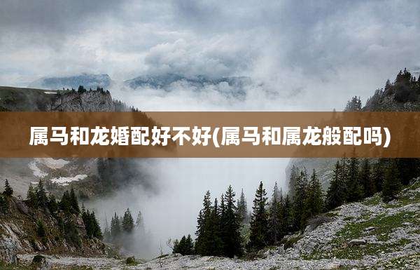 属马和龙婚配好不好(属马和属龙般配吗)