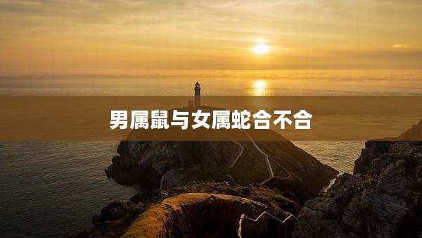 男属鼠与女属蛇合不合