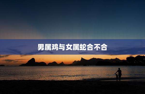 男属鸡与女属蛇合不合
