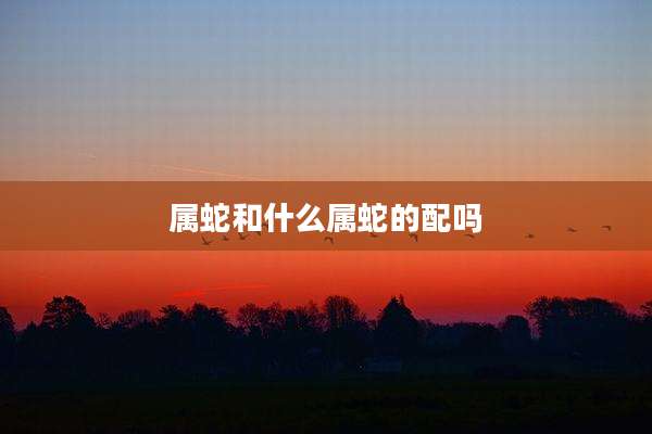 属蛇和什么属蛇的配吗