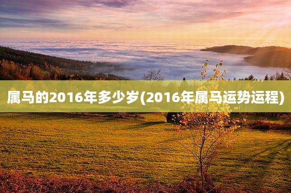 属马的2016年多少岁(2016年属马运势运程)
