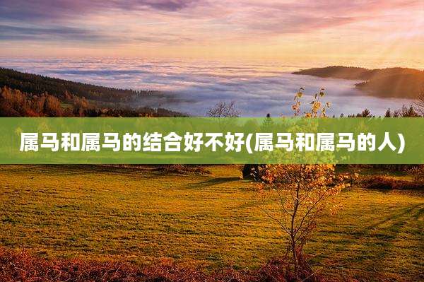 属马和属马的结合好不好(属马和属马的人)