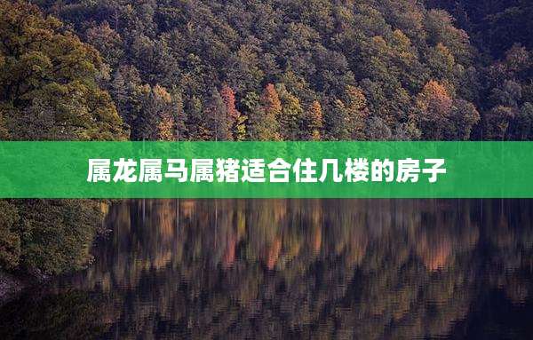 属龙属马属猪适合住几楼的房子