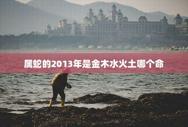 属蛇的2013年是金木水火土哪个命