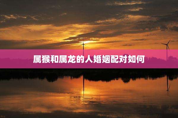 属猴和属龙的人婚姻配对如何