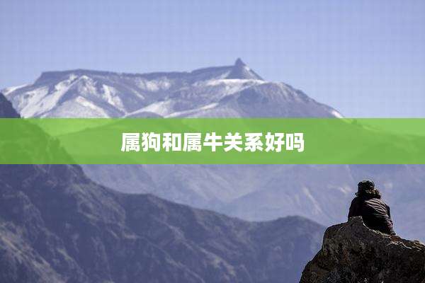 属狗和属牛关系好吗