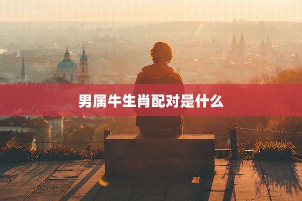 男属牛生肖配对是什么