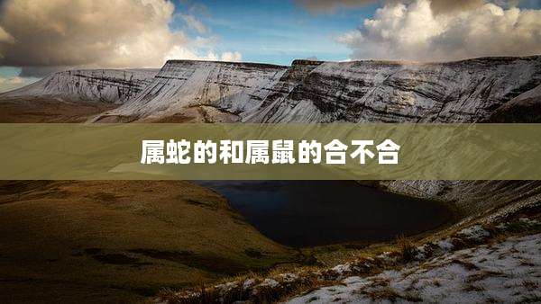 属蛇的和属鼠的合不合