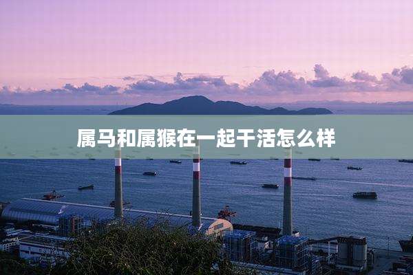 属马和属猴在一起干活怎么样