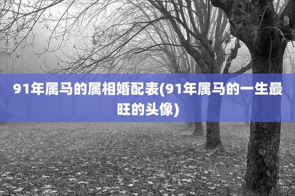 91年属马的属相婚配表(91年属马的一生最旺的头像)