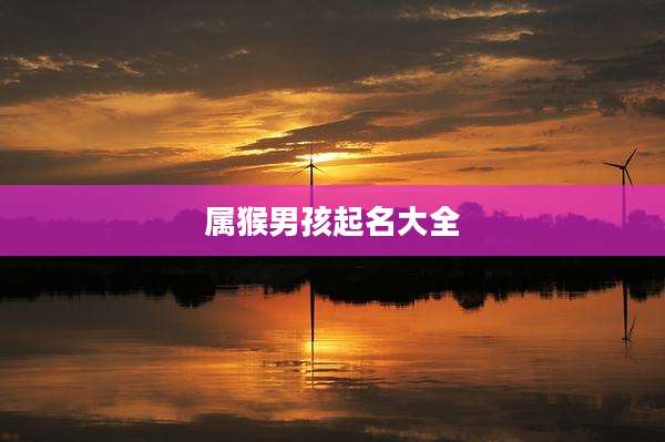 属猴男孩起名大全